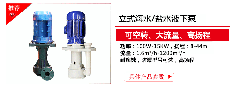 鹽水液下泵型號參數